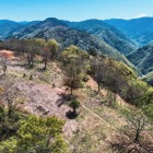 マウンテンバイクで地方創生、ヤマハ発動機らMTB活用社会推進連絡協議会を設立