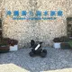 免許不要の近距離モビリティ「WHILL」、水族館に初導入…沖縄美ら海水族館 画像