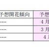 桜の開花予想、日本気象協会が発表