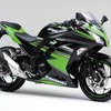 Ninja 250 ABS KRT Edition