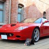 フェラーリ 575 Mスーパーアメリカ