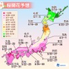 第3回桜開花予想