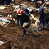 熊本地震　(c) Getty Images