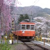 箱根登山鉄道の110号。来年2月に引退する。