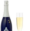 HIKOUKI CAVA 星空2014