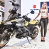 V-Strom 650XT　source: Intermot