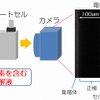 今回新たに開発した観察手法