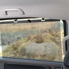 車内の温度上昇と外からの干渉を防ぐロールサンシェード