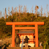 縁結び神社として知られているため、カップル比率が高め。