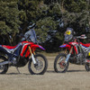 Honda CRF250RALLY（写真左）とCRF450RALLY。