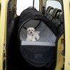 ルノー カングー、愛犬家向け限定モデル発売…獣医師監修の7アイテム装備