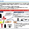 手ぶら観光カウンターの整備・機能強化などを行う民間事業者等を対象とする補助事業を実施