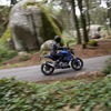 BMW G310R