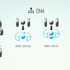 DNA