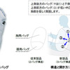 豊田合成とトヨタ自動車が共同開発した新型サイドエアバッグ