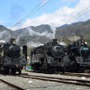 大井川鐵道は蒸気機関車の動態保存を行っている。