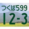 図柄入りナンバープレート（寄付金あり）の例