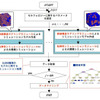 マテリアルズ・インフォマティクスによる情報と知識の発見手順