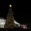 会場内にそびえ立つ高さ6mのクリスマスツリー
