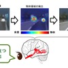 視覚認知モデルによる物体認識