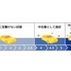 10段階の評価点目安