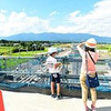 橋の建設現場を見学