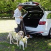 【青山尚暉のわんダフルカーライフ】愛犬の安全なクルマの乗せ方＆降ろし方