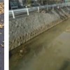 山陽新幹線トンネル補修現場から白く濁った水…魚が浮く現象を確認