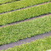 昭和造園土木のタフグリーンは、芝生に必要な土の厚さ15cmを確保した駐車場の芝生保護材（芝生駐車場）だ。写真の芝はさんぷるの人工芝。