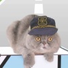 猫専用の交通安全動画