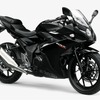 スズキ GSX250R パールネブラーブラック