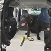 ランドローバー・ディフェンダー 新型と荷室の犬