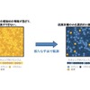 タイヤ用ゴム内部の特定材料を選択的に観測　住友ゴムと茨城大学が手法を確立