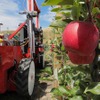 ヤマハ発動機、リンゴ自動収穫ソリューション開発の米スタートアップ企業へ追加出資