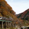 7月23日に高山本線全線での運行を再開する特急『（ワイドビュー）ひだ』。