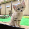 旅好きが選ぶ！ 動物園・水族館ランキング2020［リアニマル］