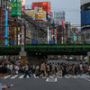 東京（8月17日）