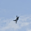 航空自衛隊F-2Bの展示飛行