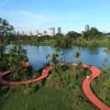 Jurong Lake Gardens