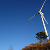 ルノー カングー ZEN 1.2 EDC。茨城北部、プラトーさとみの風力発電機をバックに記念撮影。