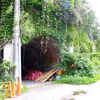 雑賀崎（さいかざき）海岸通り、旧道トンネル