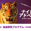 ナイトアドベン / #夜の動物なにしてる?(8月23日まで)