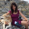 近年は動物と共生できるモビリティ社会を模索中