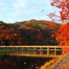 北日本は本格的な紅葉シーズンへ…ウェザーニューズ「見頃予想」を発表