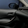 トヨタ カローラ 特別仕様車 スパークリングゴールド塗装（フロントドアトリムガーニッシュ）