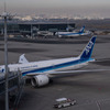 外国からの入国が禁じられた東京国際空港（羽田。11月30日）