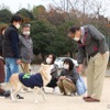 ワンミャツダクラブで保護した犬たちの1歳を祝うお散歩会