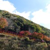 嵯峨野観光鉄道