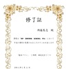 VIP DRIVING SCHOOL Pro