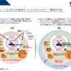 トヨタが次世代バリューチェーン構想で世界に先行する理由とは…ナカニシ自動車産業リサーチ 代表 アナリスト 中西孝樹氏［インタビュー］